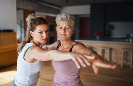 Active senior woman in sportsclothes exercising with her adult daughter indoors at home.の写真素材