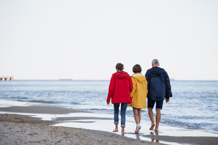 Rear view of senior couple holding hands with their preteen granddaughter and walking on sandy beach