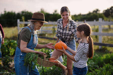 Happy little farmer girl showing organic pumpkin to grandmother outdoors at garden.の写真素材