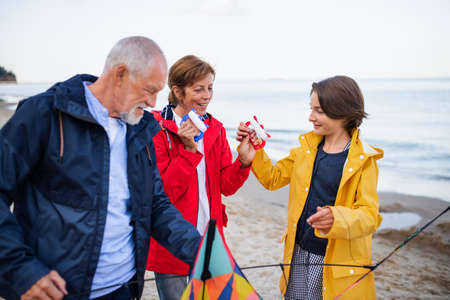 Grandparents with preteen girl preparing kite for flying on sandy beach.の写真素材