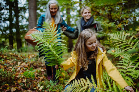 Happy little girl holding fern leaves during autumn walk with mother and grandmother in forestの写真素材