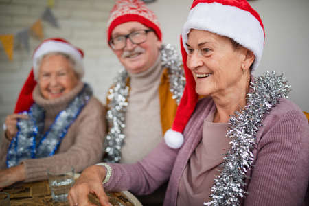 Happy senior friends sitting indoors in community center and celebrating Christmas.の写真素材
