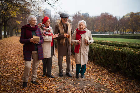 Group of happy senior friends with books on walk outdoors in park in autumn, talking and laughingの写真素材