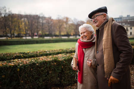 Happy senior friends on walk outdoors in town park in autumn, holding and laughing.の写真素材