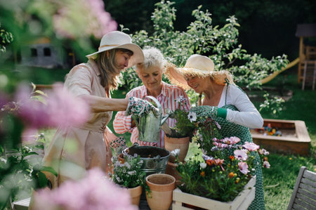 Happy senior women friends planting flowers together outdoors, community garden concept.の写真素材