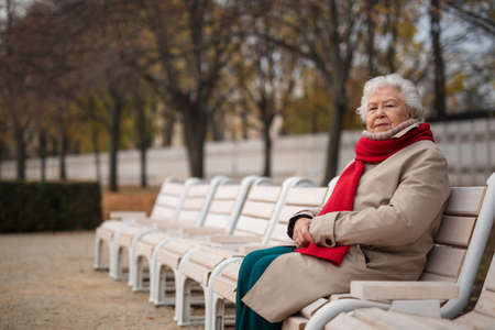 Senior woman sitting on bench in town park in autumn, looking at camera.の写真素材