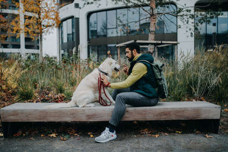 Side view of young man sitting on bench and training his dog outdoors in town.の写真素材