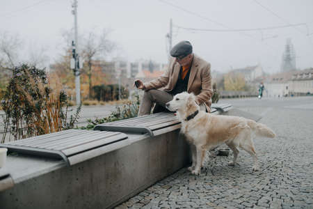 Happy senior man sitting on bench and taking selfie with his dog outdoors in city.の写真素材