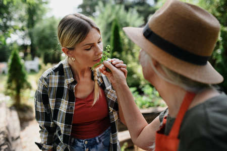 Mid-adult woman farmer with eyes closed smelling a plant herb outdoors at community farm.の写真素材
