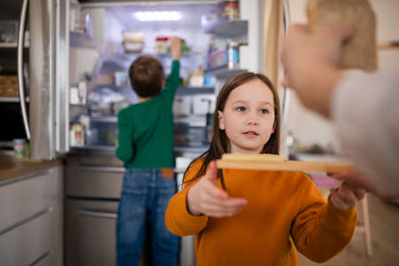 Little chidlren helping mother in kitchen at home.の写真素材