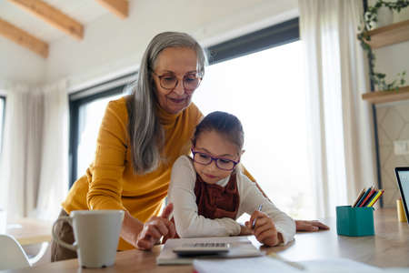 Small girl with senior grandmother doing homework at home.の写真素材