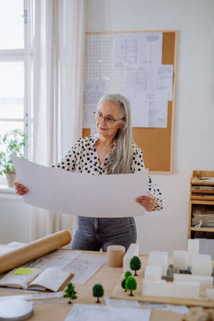 Senior woman architect with model of houses looking at blueprints in office.の写真素材
