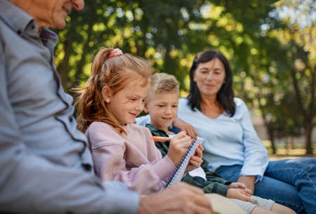 Senior couple with grandchildren sitting on bench and doing homewrok outdoors in park.の写真素材