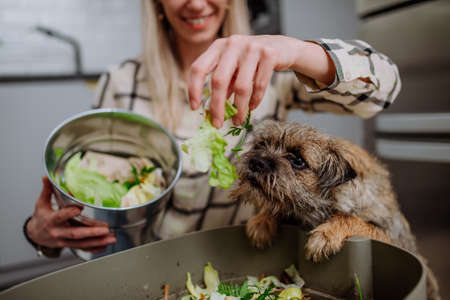 Woman throwing vegetable cuttings in a compost bucket in kitchen and feeding dog.の写真素材