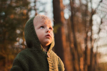 Little curious boy on walk in forest, looking up.の写真素材
