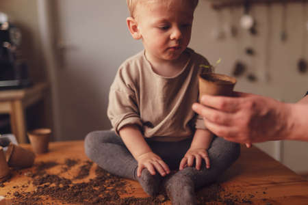 Little boy with mother planting seedlings together at home.の写真素材