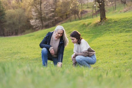 Happy senior grandmother with teenage granddaguhter on walk in nature picking herbs on spring day.の写真素材