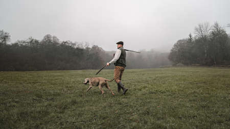 Hunter man with dog in traditional shooting clothes on field holding shotgun.の写真素材