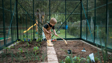 Little boy taking care of greenhouse and plants,digging soil and learn gardening.