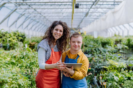 Experienced woman florist helping young employee with Down syndrome to check flowers on tablet in garden centre.の写真素材