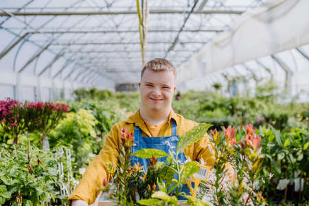 Young man with Down syndrome working in garden centre, carrying basket with plants.の写真素材