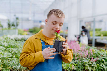 Happy young employee with Down syndrome working in garden centre, taking care of flowers.の写真素材
