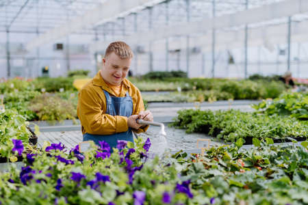Happy young employee with Down syndrome working in garden centre, watering plants with a shower head...