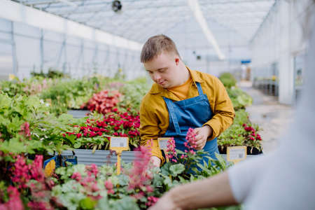 Happy young employee with Down syndrome working in garden centre, taking care of flowers.の写真素材