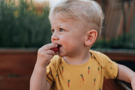 Cute little boy eating strawberries in garden in summer.の写真素材