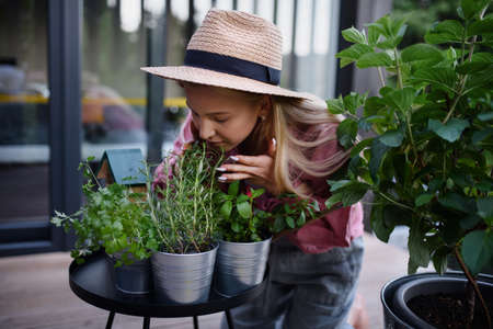 Young woman taking care of her herbs and smelling thme on terrace in tiny house, sustainable living.の写真素材