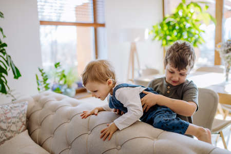 Little siblings playing in living room together.の写真素材