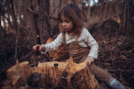 Little girl exploring nature outdoors in autumn forest.