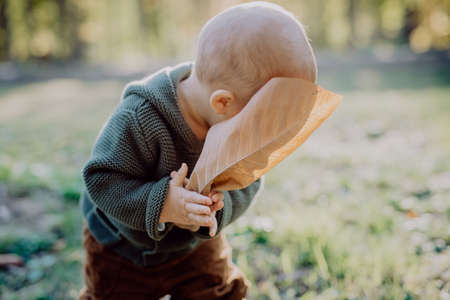 Portrait of cute little boy wearing knitted hoodie in nautre holding dry leaf, autumn concept.の写真素材