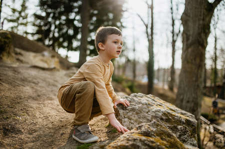 Portrait of cute curious little boy in nautre, autumn concept.の写真素材