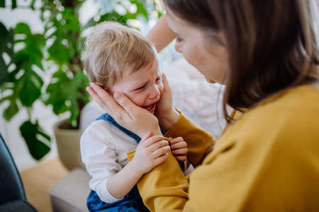 Mother consoling her little upset daughter at home.の写真素材