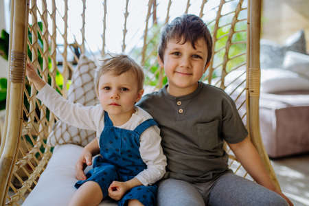 Little siblings playing, having fun and swinging on hanging chair in conservatory at home.の写真素材