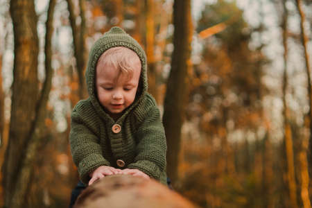 Little curious boy on walk in nature, sitting in tree stump.の写真素材