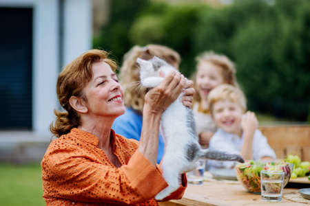 Happy grandma cuddling kitty cat at multigeneration garden party.の写真素材