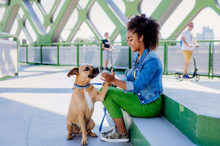 Multiracial girl sitting and resting with her dog outside in the bridge, training him, spending leisure time together. Concept of relationship between dog and teenager, everyday life with pet.の写真素材