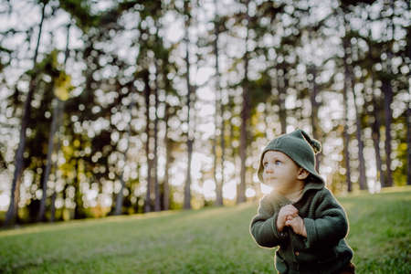 Portrait of cute little boy wearing knitted hoodie in nautre, autumn concept.