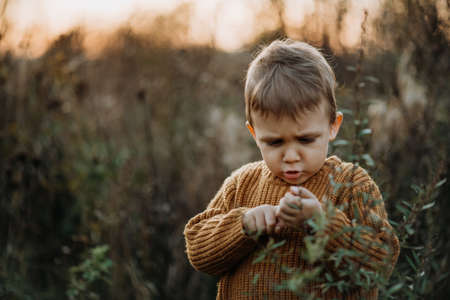 Portrait of cute little boy wearing knitted sweater in nautre, autumn concept.