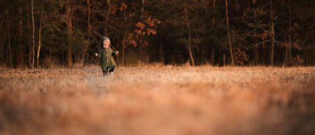 Cute little boy in knitted sweater on walk in autumn nature, wide, copy space.の写真素材