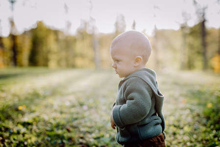 Little boy sitting in dry leaves in nature, autumn conceptの写真素材