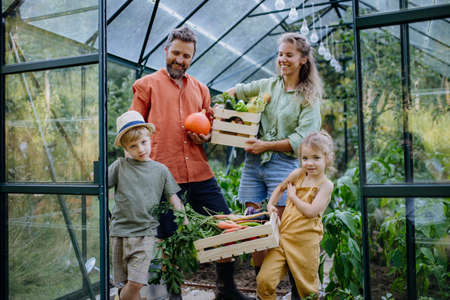 Farmer family with fresh harvest standing in a greenhouseの写真素材