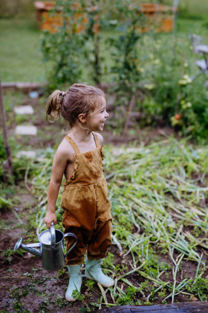 Farmer little girl having fun during watering vegetable garden together in summer.の写真素材