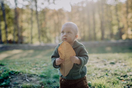Portrait of cute little boy with big leaf wearing knitted hoodie in nautre, autumn concept.