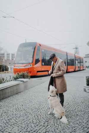 Happy elegant senior man walking and training his dog outdoors in city.の写真素材