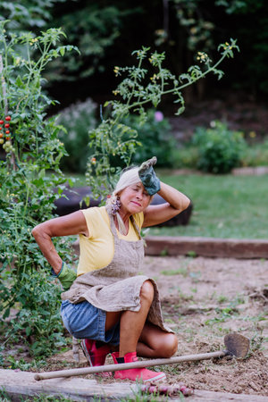 Senior woman resting after manual working in her garden, having pain in her back.の写真素材