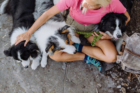 Top view of senior woman having break during walking her three dogs in forest.の写真素材