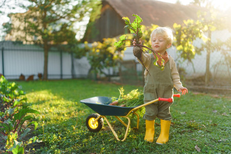 Little boy with wheelbarrow posing in garden during autumn day.